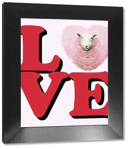 Heart shaped ewe as the letter O the word Love