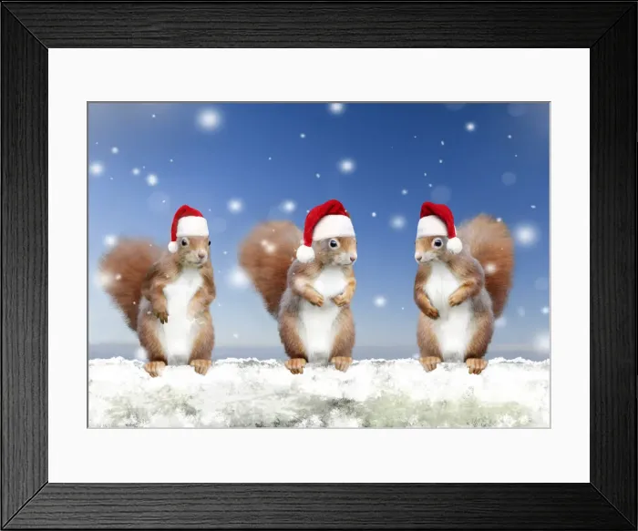 Framed Print : USH-4081-M