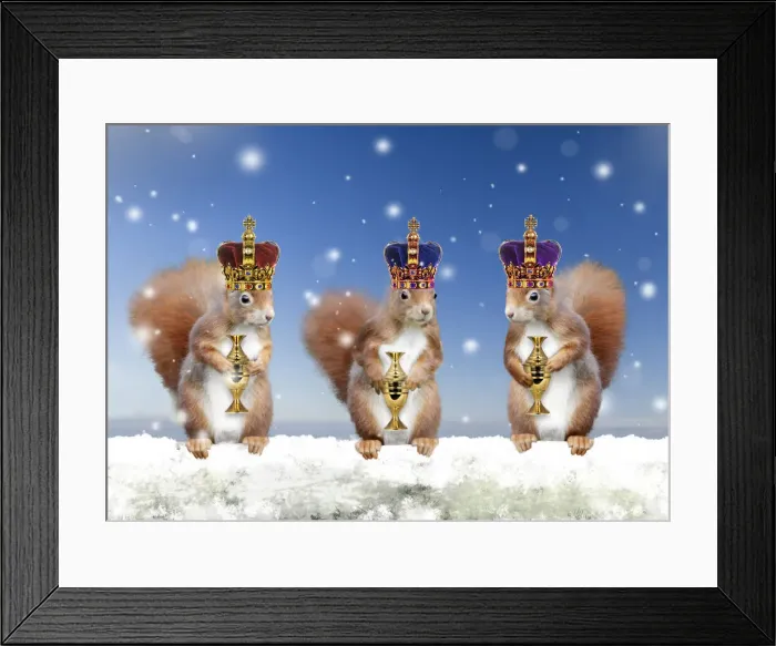 Framed Print : USH-4081-M Framed Print : USH-4081-M