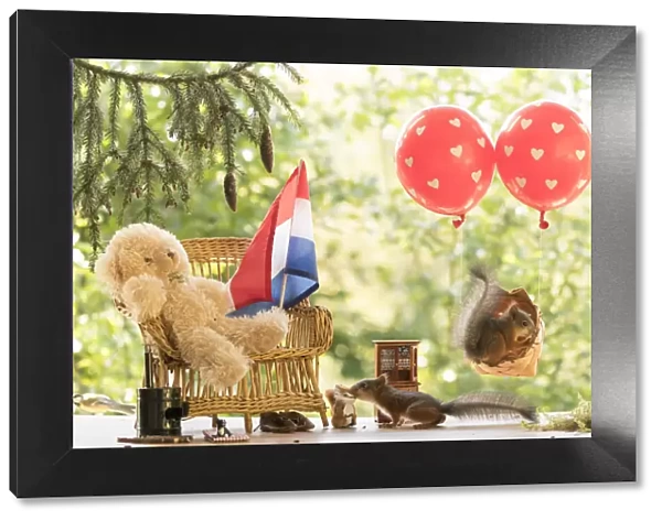 Red Squirrels in a balloon and with a bear on a bench