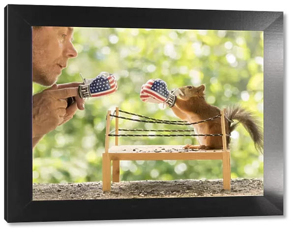 man and Red Squirrel standing in a boxing ring