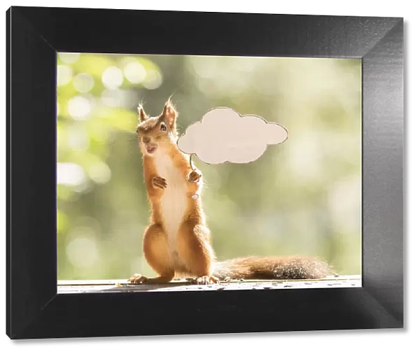 Red Squirrel holding a text cloud