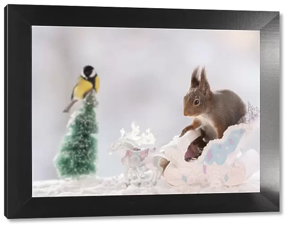 Red squirrel standing on a sledge with reindeer and great tit