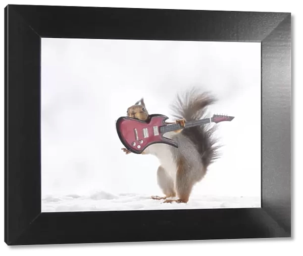 red squirrel holding an electric guitar