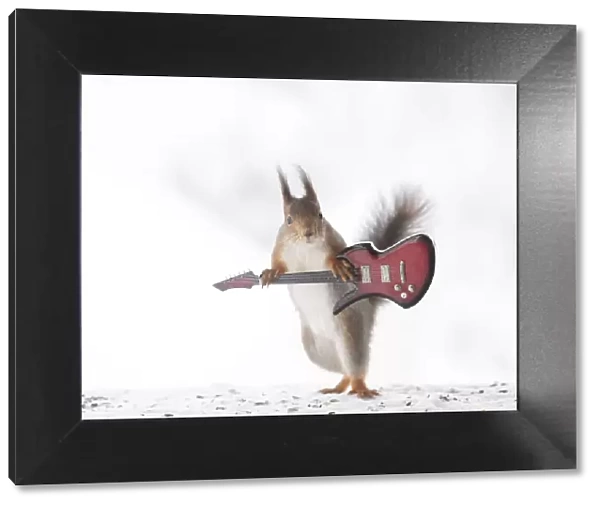 red squirrel holding an guitar looking at the viewer