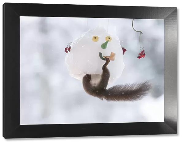 Red squirrel jumping in a snowman mask with a pipe