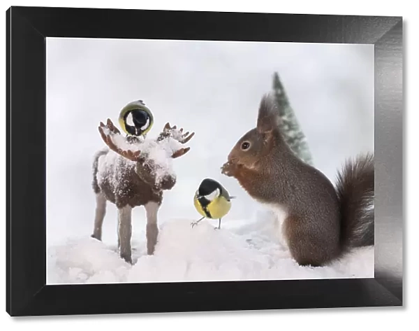 Red squirrel and titmouse standing with a moose