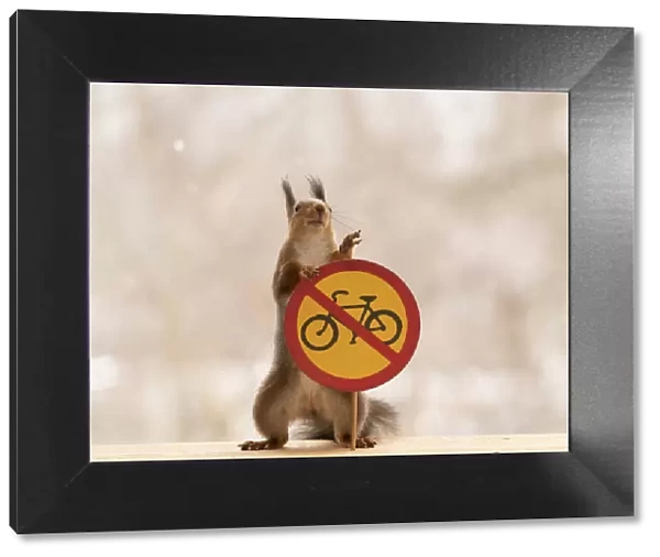 Red Squirrel standing with a No bicycles or class II mopeds road sign