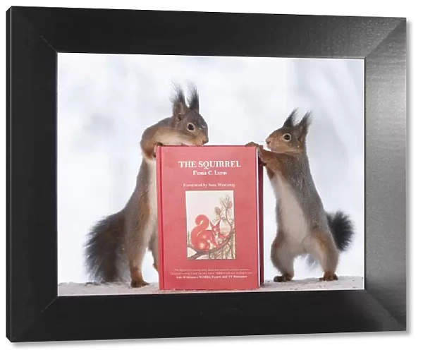 red squirrels holding a book of Fiona, C. Lunn
