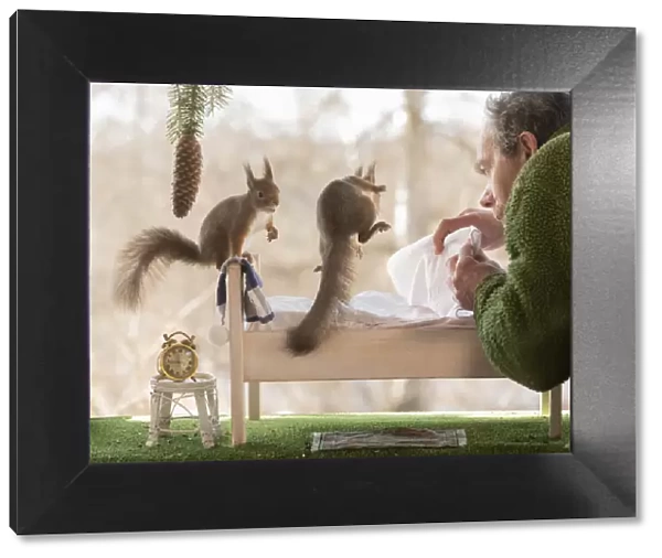 Red Squirrels on a bed man holding a blanket