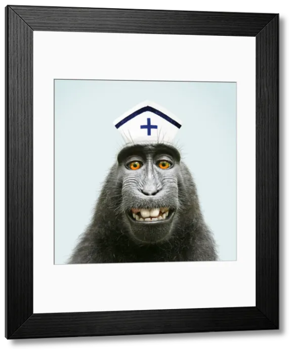 Framed Print : DDE-90218602-M Framed Print : DDE-90218602-M