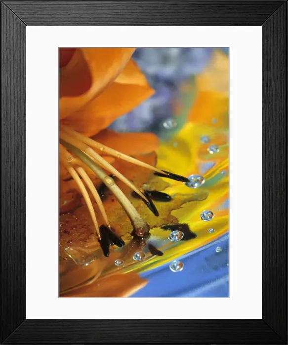 Framed Print : DDE-90019052 Framed Print : DDE-90019052