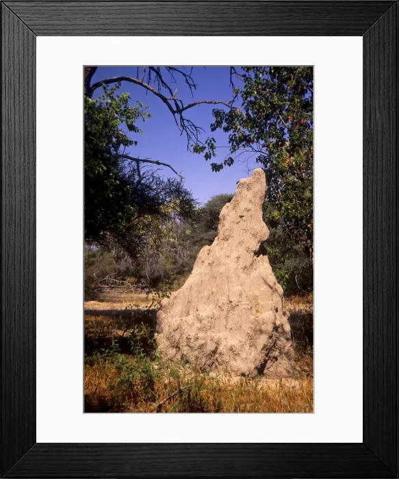 Framed Print : DDE-90019060 Framed Print : DDE-90019060