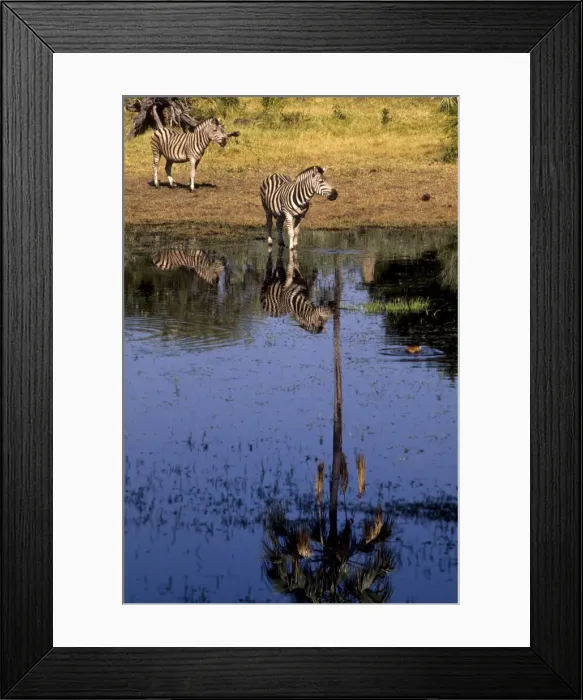 Framed Print : DDE-90019062