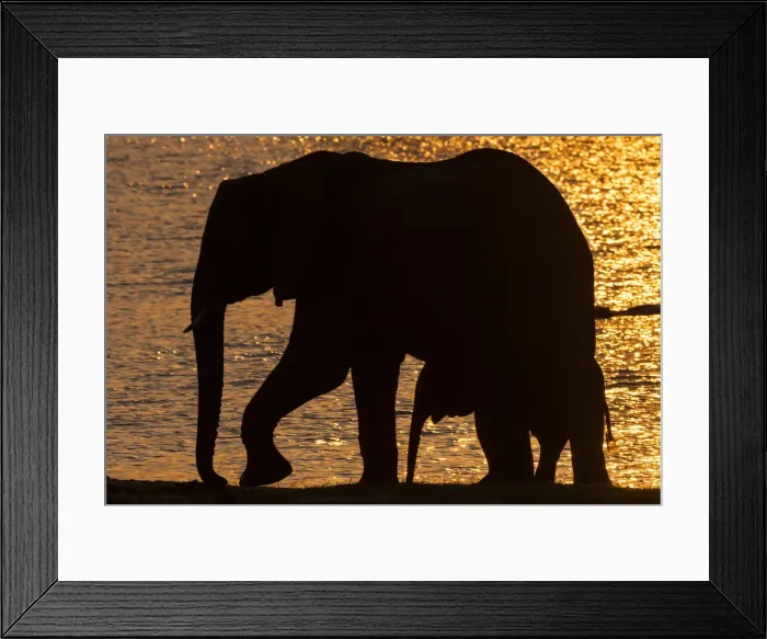 Framed Print : DDE-90019064 Framed Print : DDE-90019064