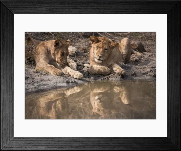 Framed Print : DDE-90019067 Framed Print : DDE-90019067