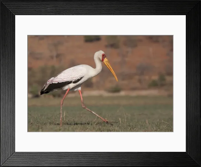 Framed Print : DDE-90019073 Framed Print : DDE-90019073