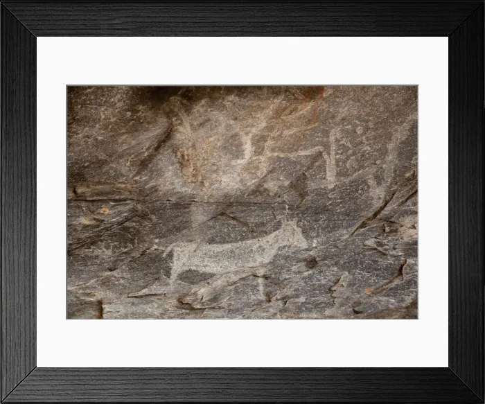 Framed Print : DDE-90019075 Framed Print : DDE-90019075