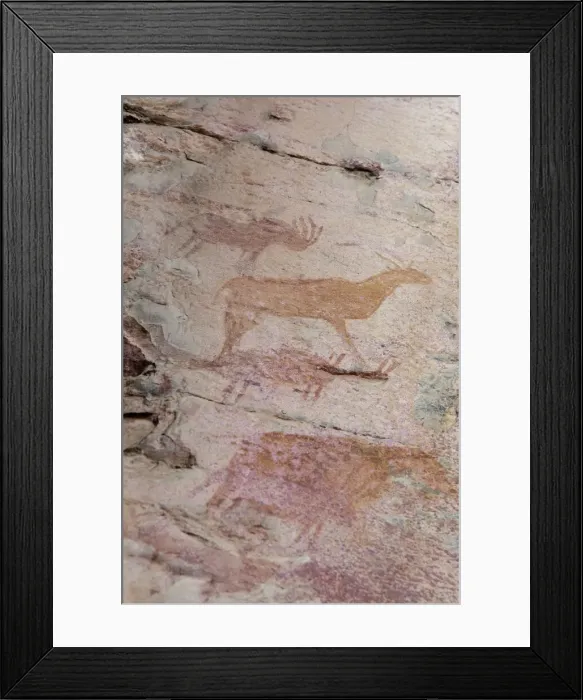 Framed Print : DDE-90019076 Framed Print : DDE-90019076