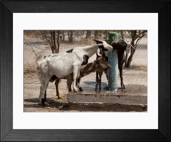 Framed Print : DDE-90019078 Framed Print : DDE-90019078