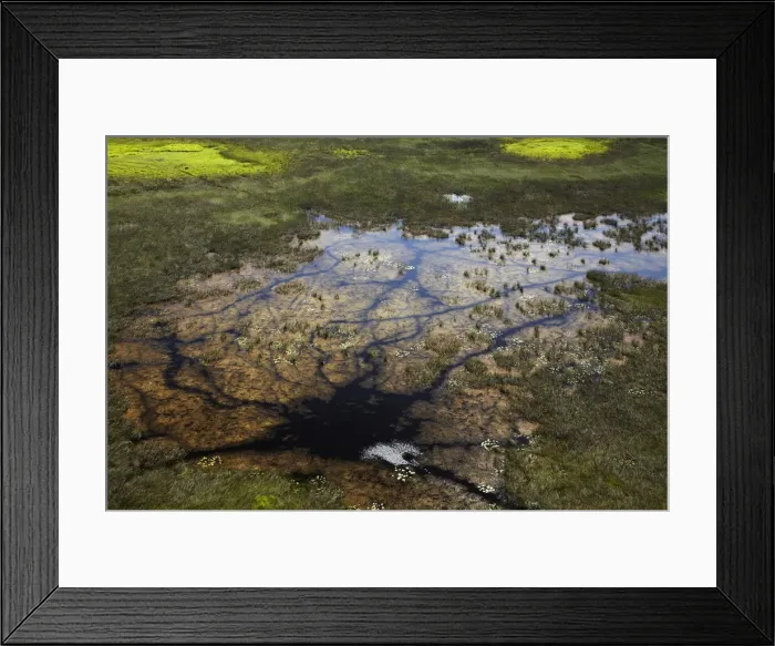 Framed Print : DDE-90019086 Framed Print : DDE-90019086
