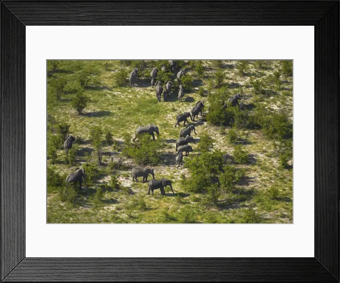 Framed Print : DDE-90019087 Framed Print : DDE-90019087