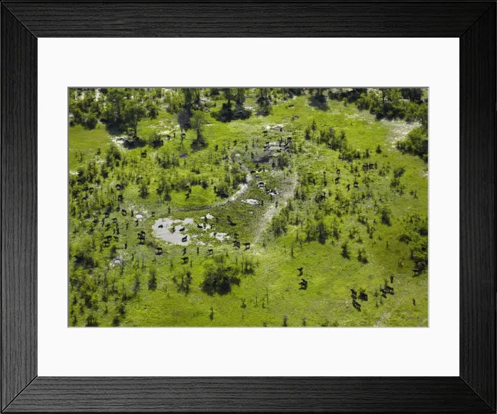 Framed Print : DDE-90019088 Framed Print : DDE-90019088