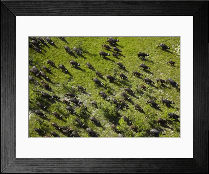 Framed Print : DDE-90019089 Framed Print : DDE-90019089