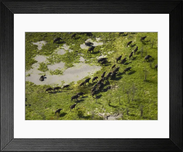 Framed Print : DDE-90019091 Framed Print : DDE-90019091