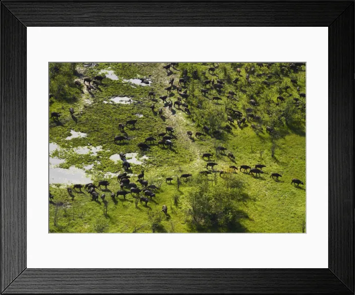 Framed Print : DDE-90019092 Framed Print : DDE-90019092