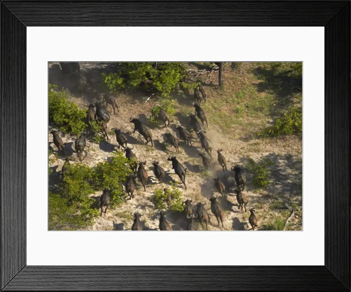 Framed Print : DDE-90019093 Framed Print : DDE-90019093
