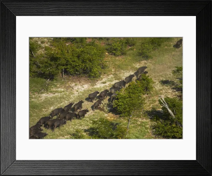 Framed Print : DDE-90019094 Framed Print : DDE-90019094