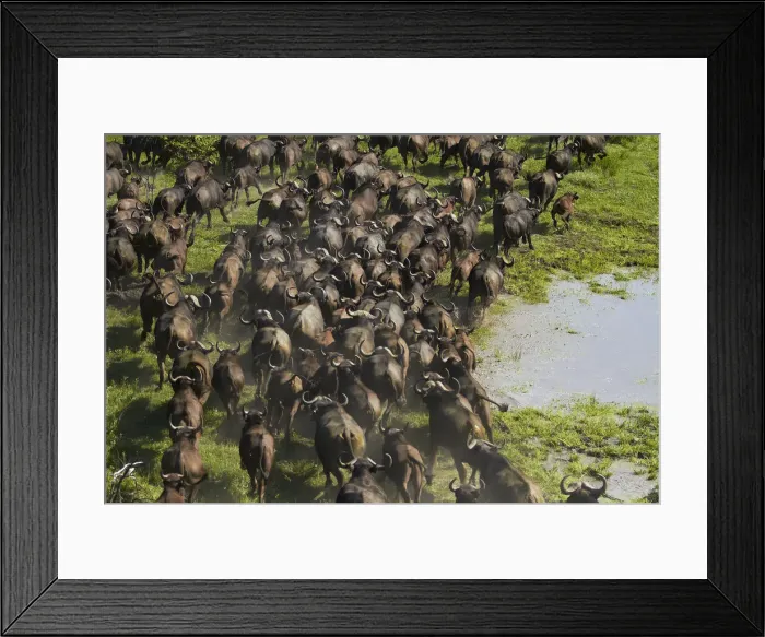 Framed Print : DDE-90019097 Framed Print : DDE-90019097