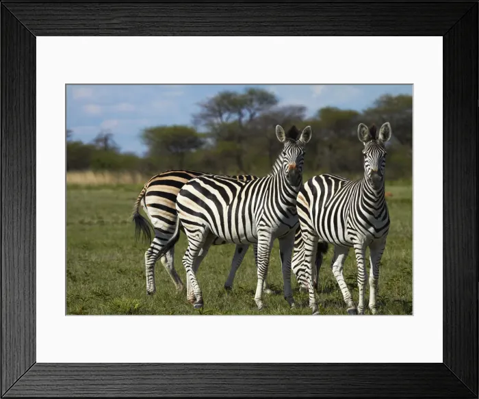 Framed Print : DDE-90019107 Framed Print : DDE-90019107