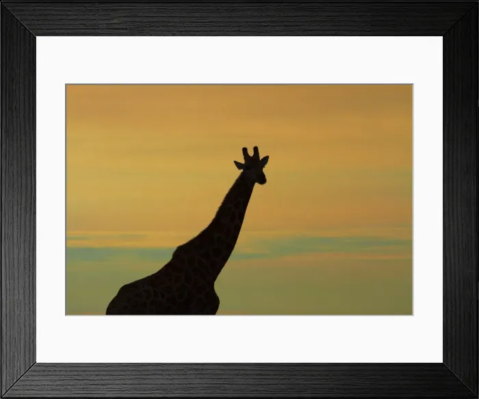 Framed Print : DDE-90019109 Framed Print : DDE-90019109