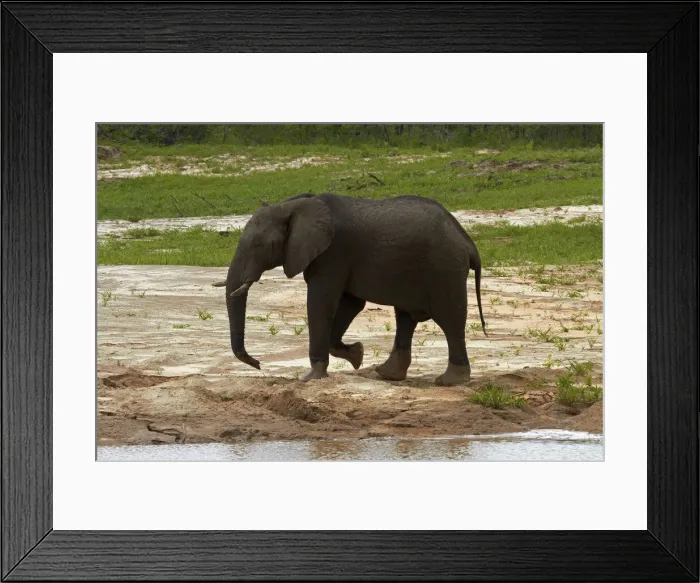 Framed Print : DDE-90019114 Framed Print : DDE-90019114