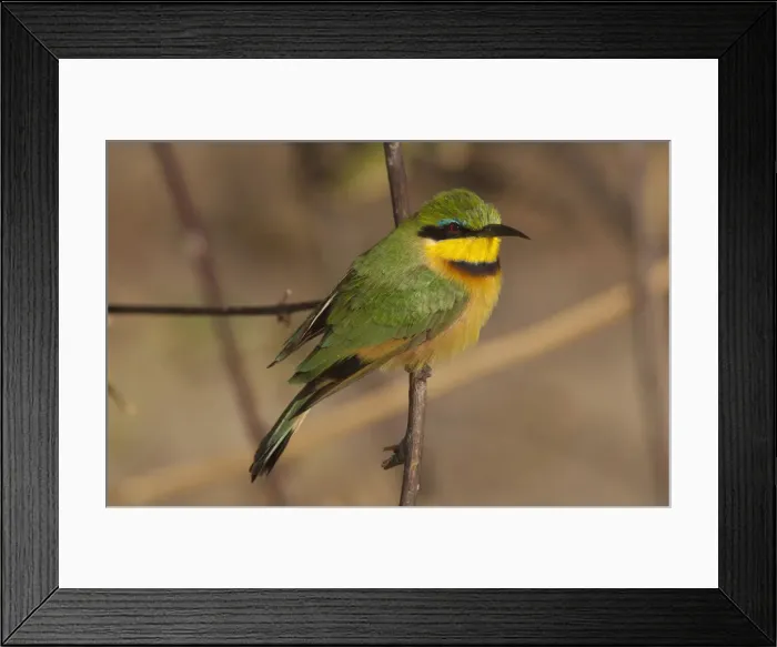 Framed Print : DDE-90019266 Framed Print : DDE-90019266
