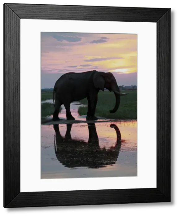 Framed Print : DDE-90019273