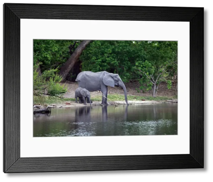 Framed Print : DDE-90019277 Framed Print : DDE-90019277