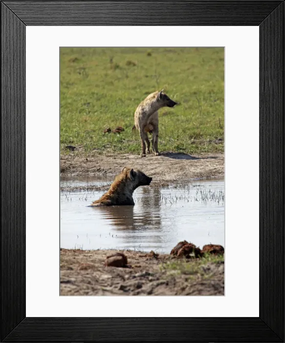 Framed Print : DDE-90019279 Framed Print : DDE-90019279