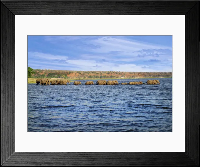 Framed Print : DDE-90019282 Framed Print : DDE-90019282