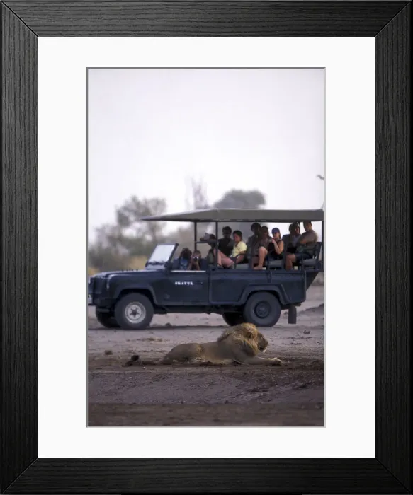 Framed Print : DDE-90019303 Framed Print : DDE-90019303