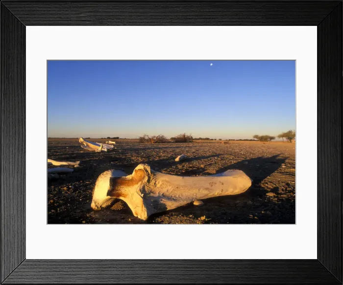 Framed Print : DDE-90019304 Framed Print : DDE-90019304