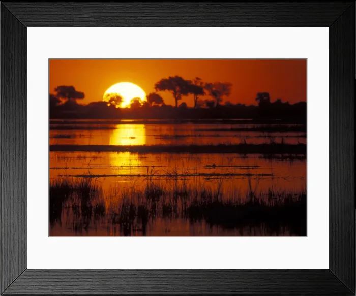 Framed Print : DDE-90019311 Framed Print : DDE-90019311