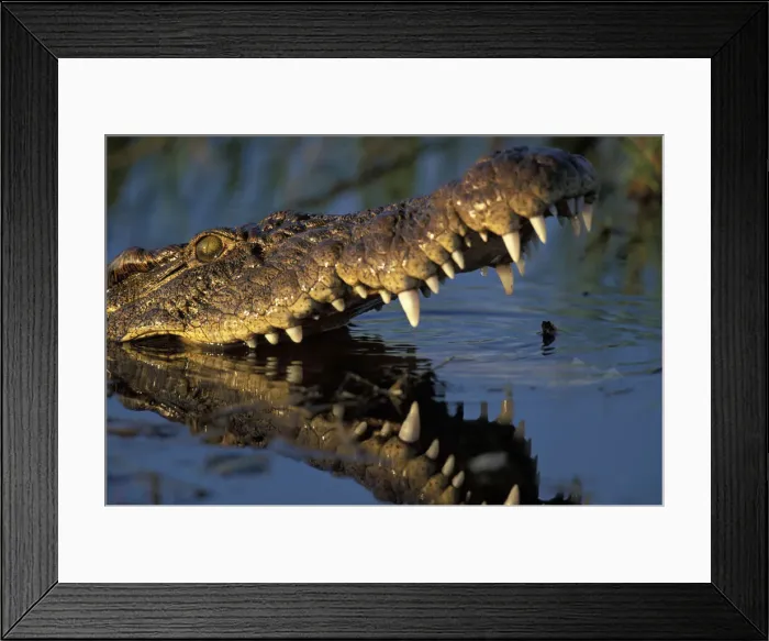 Framed Print : DDE-90019314 Framed Print : DDE-90019314