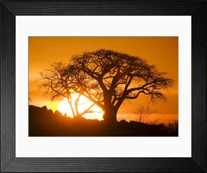 Framed Print : DDE-90019328 Framed Print : DDE-90019328