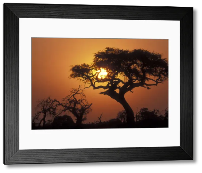 Framed Print : DDE-90019348 Framed Print : DDE-90019348