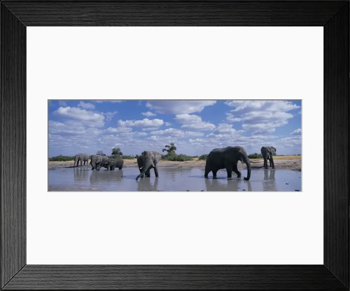 Framed Print : DDE-90019355