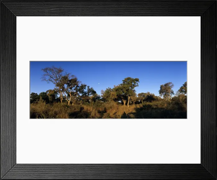 Framed Print : DDE-90019362 Framed Print : DDE-90019362