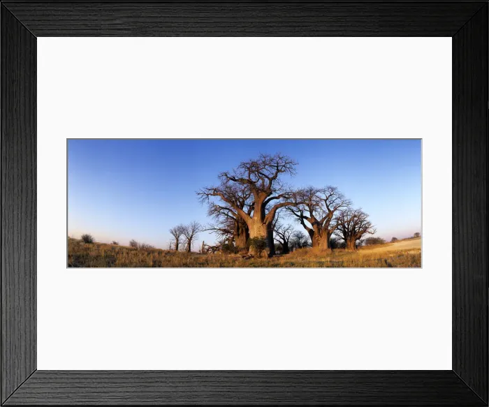 Framed Print : DDE-90019363 Framed Print : DDE-90019363
